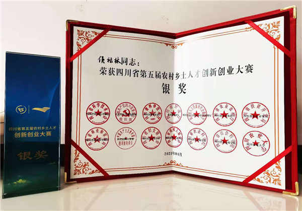 创新创业大赛证书