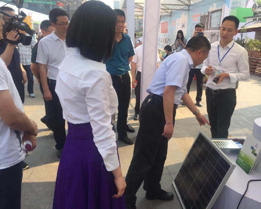 助力乡村振兴（宜宾市副市长王力平指导工作）