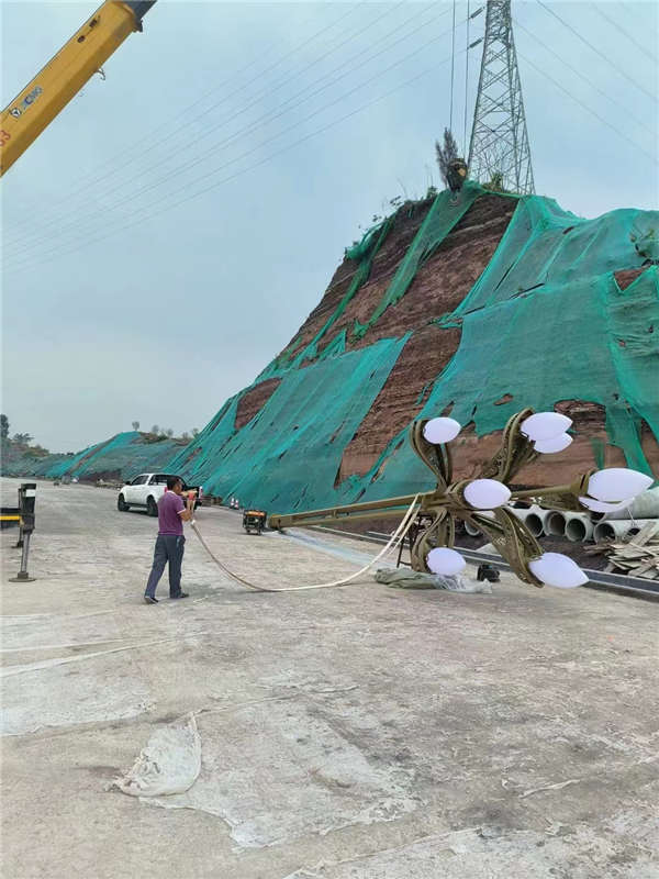 河北省保定市雄县温白路玉兰灯，由光科照明供货安装！